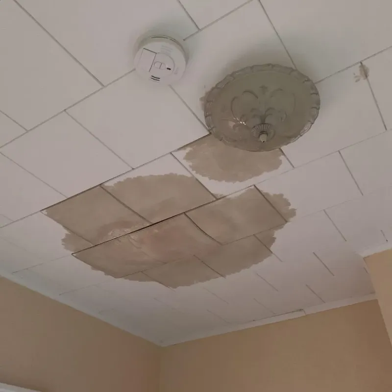 Ceiling Water Damage Repair in Newton, NH