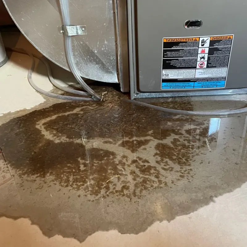 Pipe Burst and Leak Restoration in Newton, NH